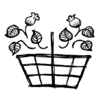 15871081_10154808511883376_1767327727_n