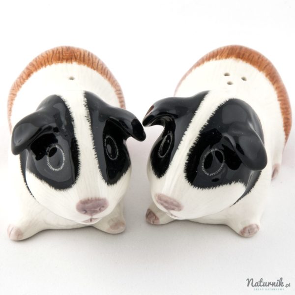 sp_guineapig_tri_01__61618-1407227065-1280-1280