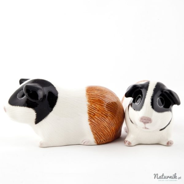 sp_guineapig_tri_02__24136-1407227066-1280-1280