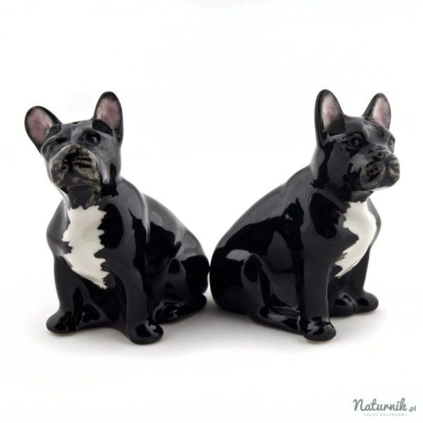 french_bulldog_black_sp_03__84670-1458750545-1280-1280