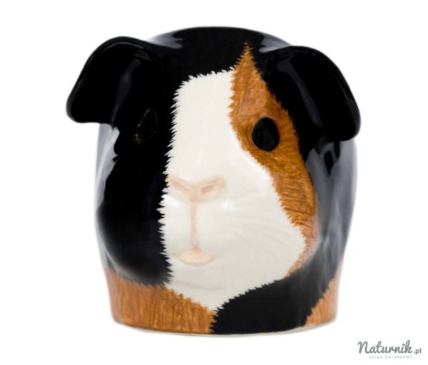 guinea_pig_face_egg_cup-_multi__37931-1448358135-1280-1280