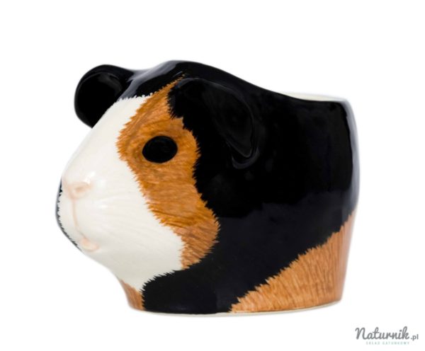 guinea_pig_face_egg_cup_multi-1__27596-1448358104-1280-1280