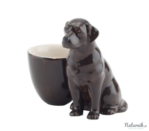 Chocolate_Labrador_with_egg_cup__61707.1415030827.1280.1280