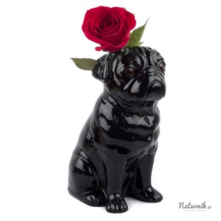 Pug_Vase_with_flowers_02__58307.1436794286.450.450