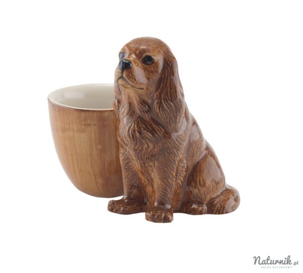 CKCSpanielRubywitheggcup__50304.1382107931.1280.1280