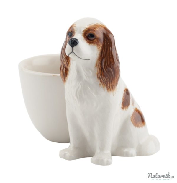 CKC_Spaniel_Blenheim_with_egg_cup__49356.1383149167.1280.1280