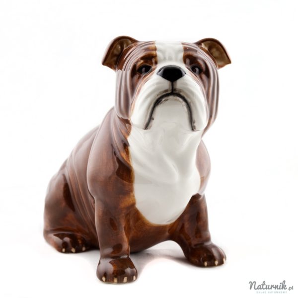 MB_Bulldog_01__85504.1464864509.1280.1280