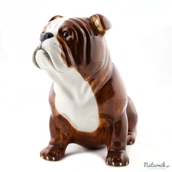 MB_Bulldog_04__00242.1464864498.1280.1280