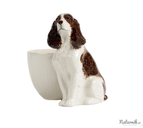 SpringerSpanielwitheggcup__16493.1382107939.1280.1280