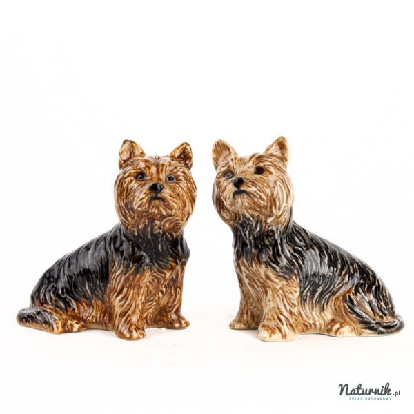 SP_Yorkshire_Terriers_01__27966.1522322373.1280.1280