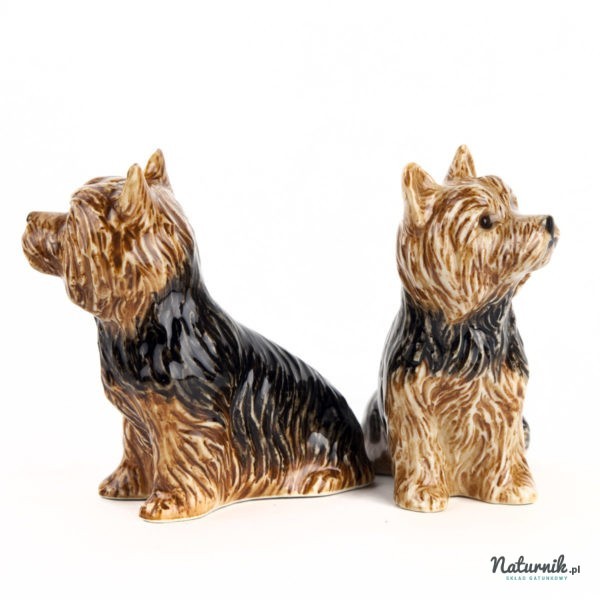 SP_Yorkshire_Terriers_02__43224.1522323005.1280.1280