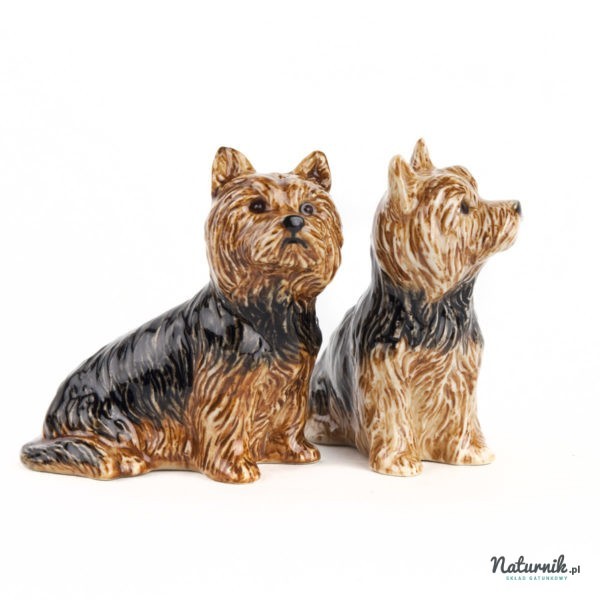 SP_Yorkshire_Terriers_03__68918.1522323005.1280.1280