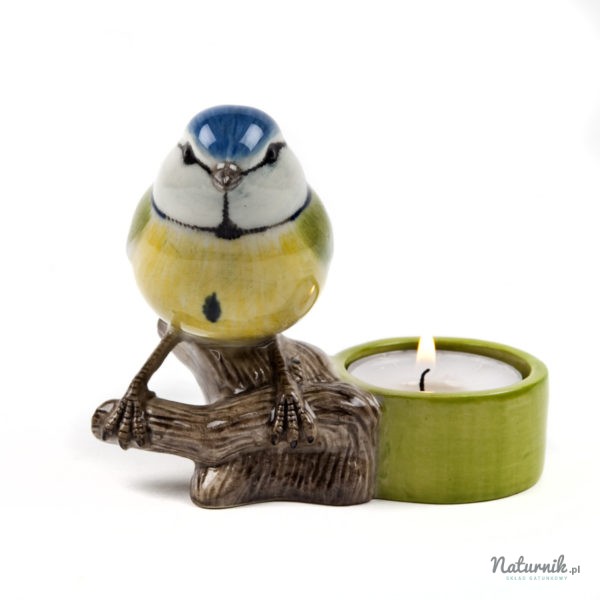 Blue_tit_tea_light_01__58956.1458751928.1280.1280