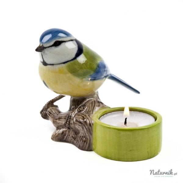 Blue_tit_tea_light_02__23835.1458751927.1280.1280