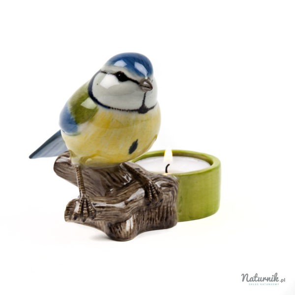 Blue_tit_tea_light_03__28132.1458751927.1280.1280
