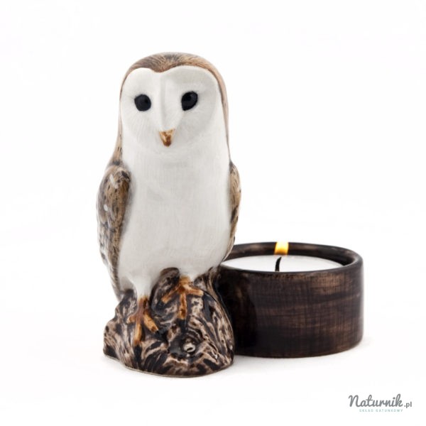 Barn_owl_tea_light_02__37229.1458751695.1280.1280