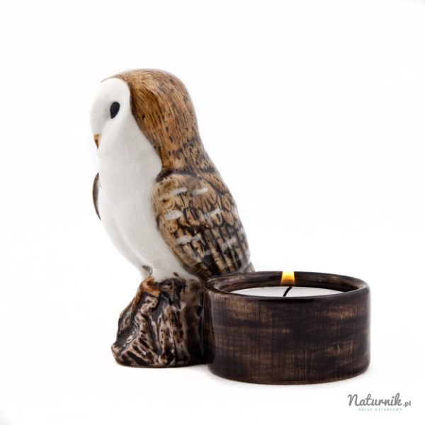 Barn_owl_tea_light_03__40389.1458751695.1280.1280