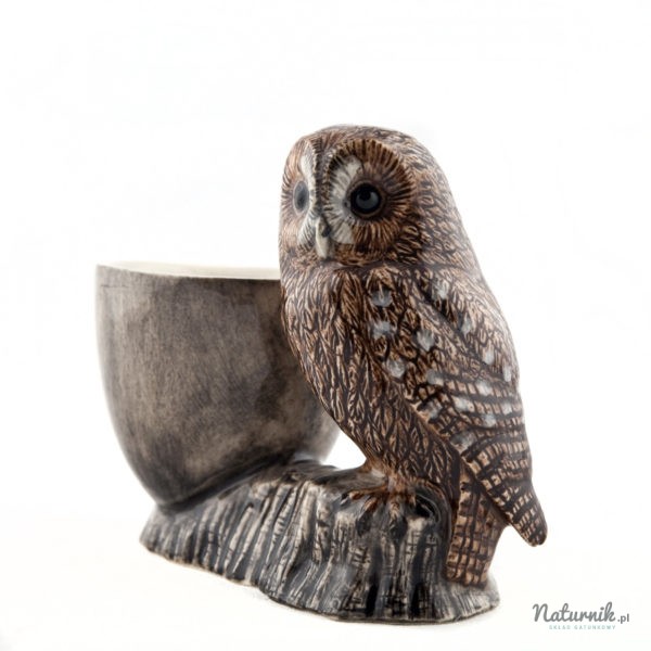 EC_Tawny_Owl_04__20856.1458744442.1280.1280