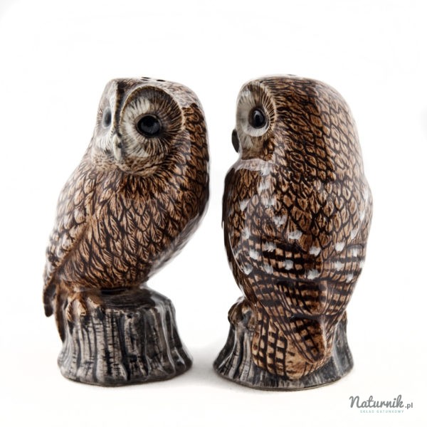 SP_Tawny_Owl_02__54040.1460725233.1280.1280