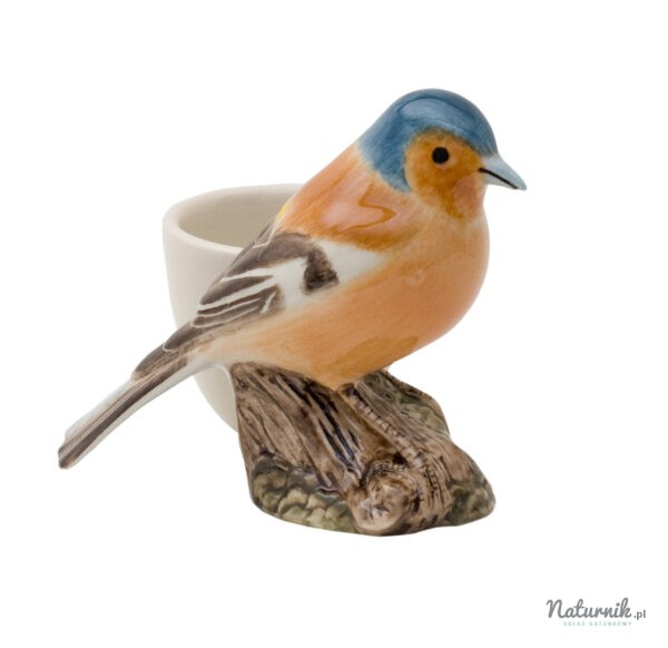 Chaffinch_with_egg_cup_1__33658.1383126331.1280.1280