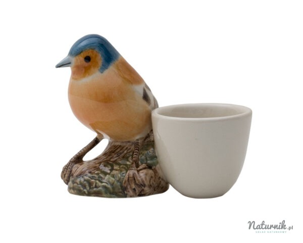 Chaffinch_with_egg_cup_2__54805.1383126335.1280.1280