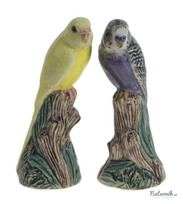Budgerigars_violet_and_yellow_1__10621.1406811519.1280.1280