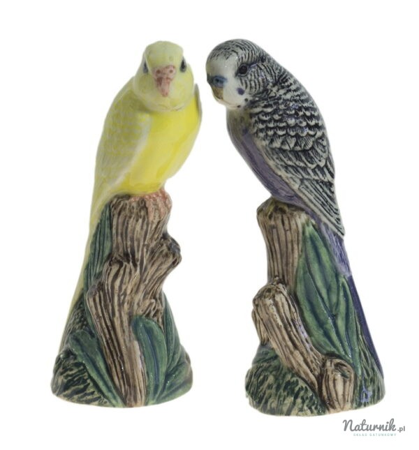 Budgerigars_violet_and_yellow__54994.1406811520.1280.1280